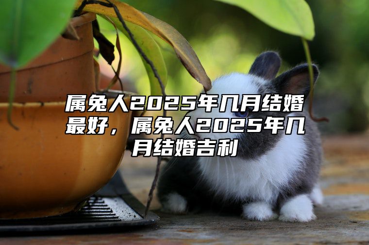 属兔人2025年几月结婚最好，属兔人2025年几月结婚吉利 2025年兔子