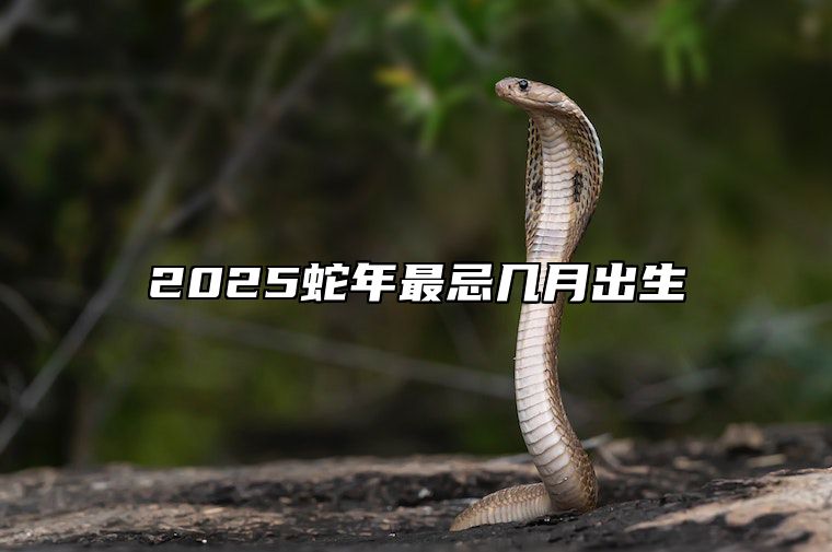 2025蛇年最忌几月出生 2025蛇年哪个月份出生的人最好