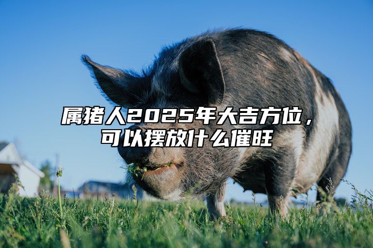 属猪人2025年大吉方位，可以摆放什么催旺 属猪人2022年吉利方位