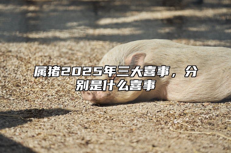 属猪2025年三大喜事，分别是什么喜事 2025年对属猪的人怎么样?