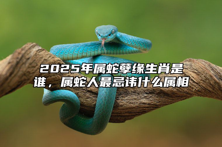 2025年属蛇孽缘生肖是谁，属蛇人最忌讳什么属相 2025年属蛇人的命运