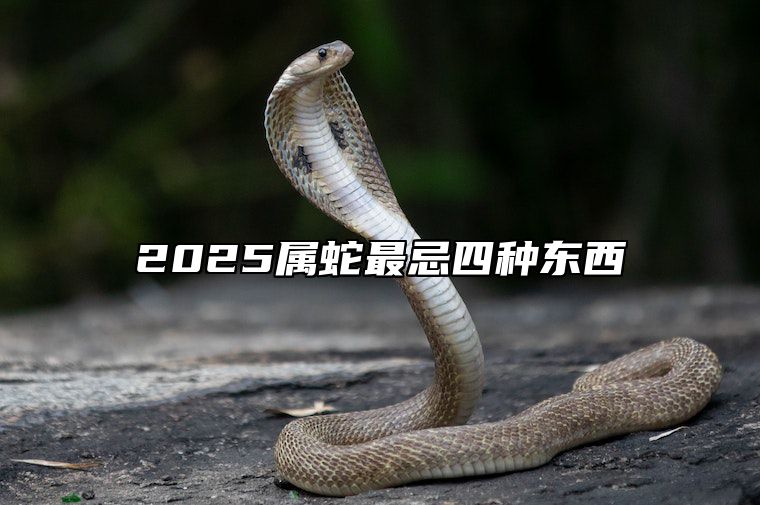 2025属蛇最忌四种东西 属蛇的在2025年的运势好不好呢