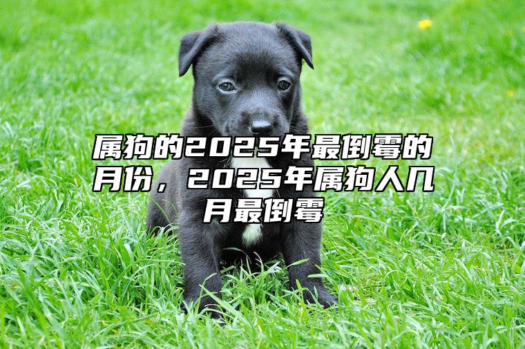 属狗的2025年最倒霉的月份，2025年属狗人几月最倒霉 2025年属狗人的全年每月运势