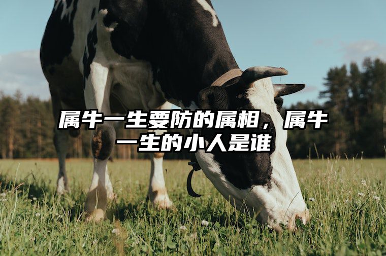 属牛一生要防的属相，属牛一生的小人是谁 属牛的人一生好不好