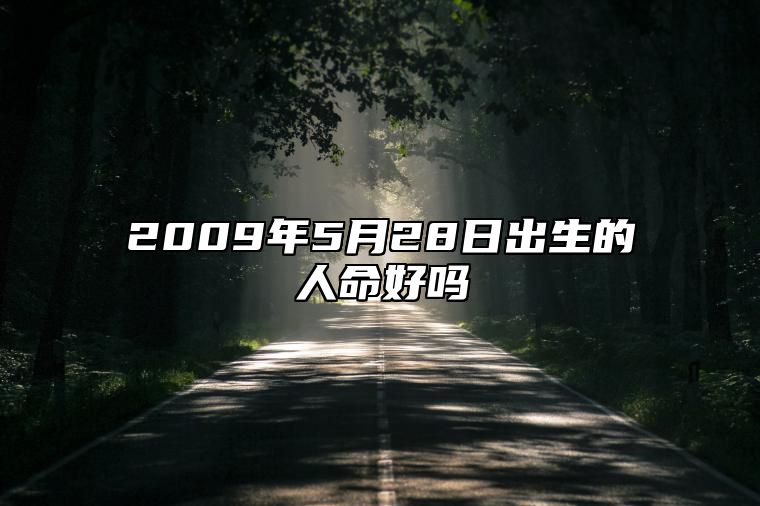 2009年5月28日出生的人命好吗 今日不同时辰生辰八字解析