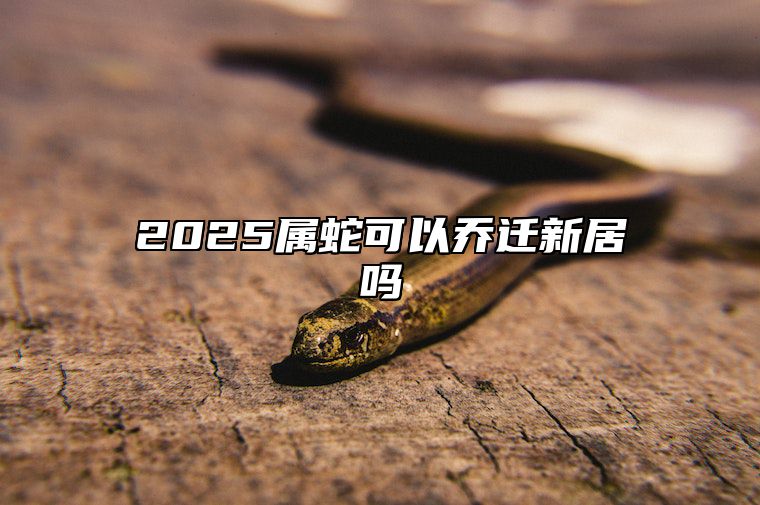 2025属蛇可以乔迁新居吗 2025属蛇最佳乔迁日期