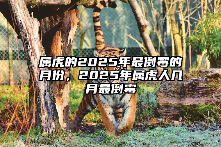 属虎的2025年最倒霉的月份，2025年属虎人几月最倒霉 属虎2025年什么命