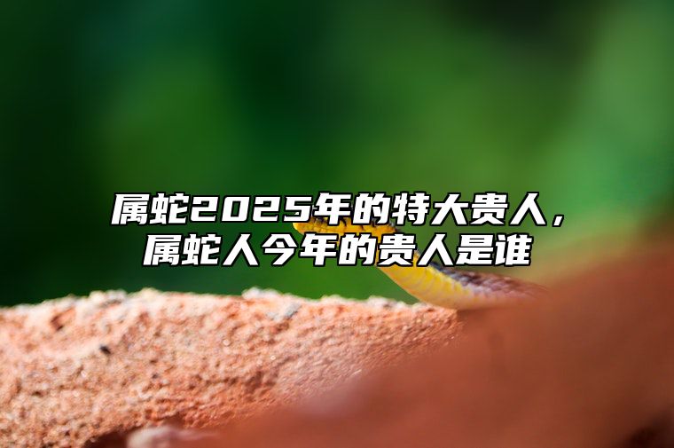 属蛇2025年的特大贵人，属蛇人今年的贵人是谁 属蛇的人2025年的运势及运程