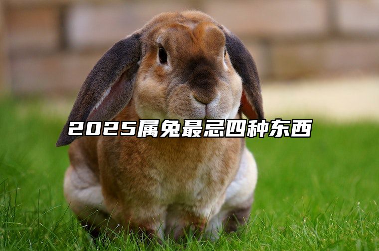 2025属兔最忌四种东西 属兔人在2020年的禁忌