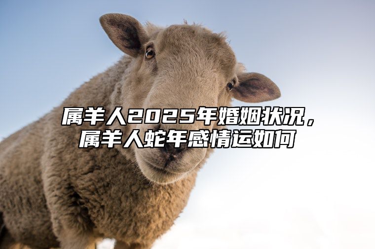 属羊人2025年婚姻状况，属羊人蛇年感情运如何 2025年属羊人的命运