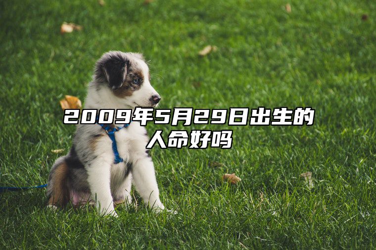 2009年5月29日出生的人命好吗 姻缘婚姻,八字事业人生发展