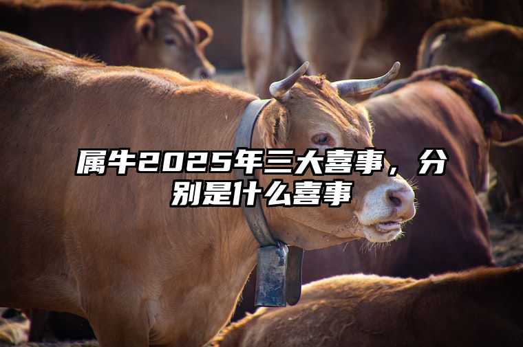 属牛2025年三大喜事，分别是什么喜事 属牛的人在2025年怎么样