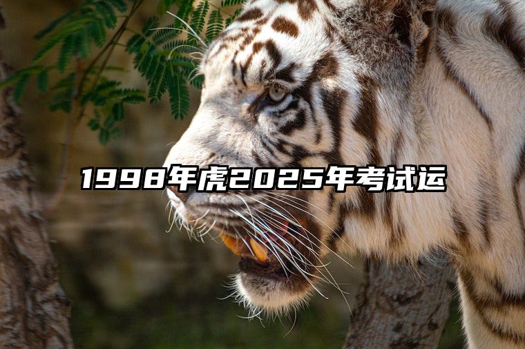 1998年虎2025年考试运 1998年属虎明年运势