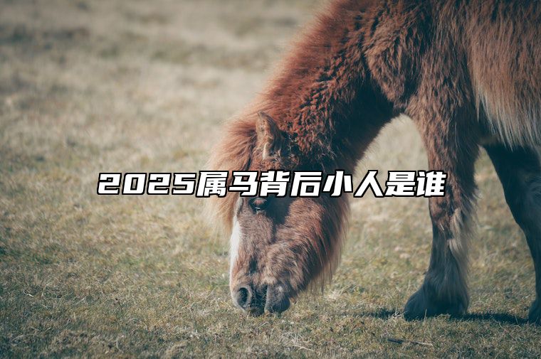 2025属马背后小人是谁 属马终身最大的贵人是谁