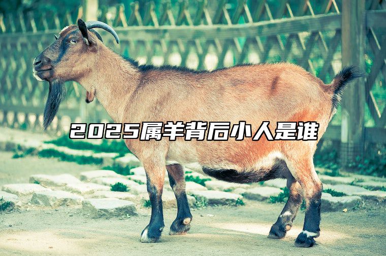 2025属羊背后小人是谁 2025年属羊人