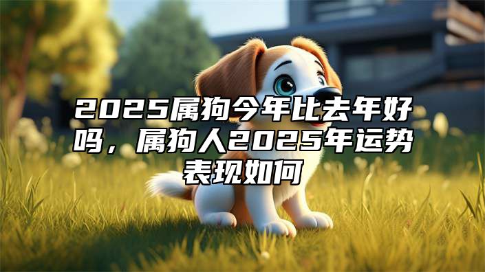 2025属狗今年比去年好吗，属狗人2025年运势表现如何 属狗2025年运势及运程每月运程狗