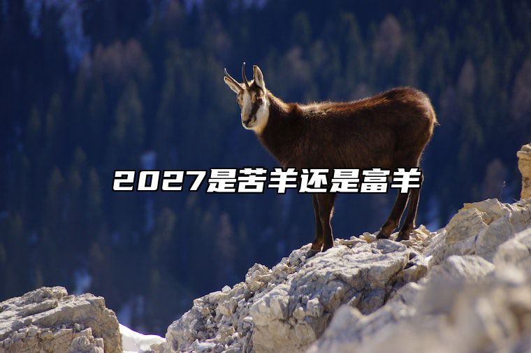 2027是苦羊还是富羊 2015是苦羊还是富羊