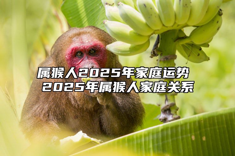 属猴人2025年家庭运势 2025年属猴人家庭关系 2025年属猴人的全年每月