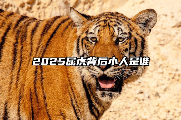 2025属虎背后小人是谁 2025年属虎人的命运