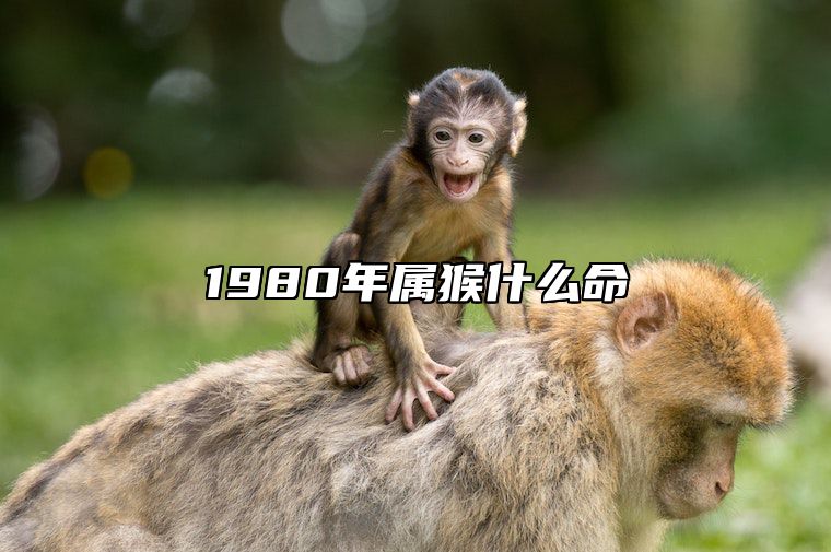 1980年属猴什么命 1980年属猴什么命是木命吗