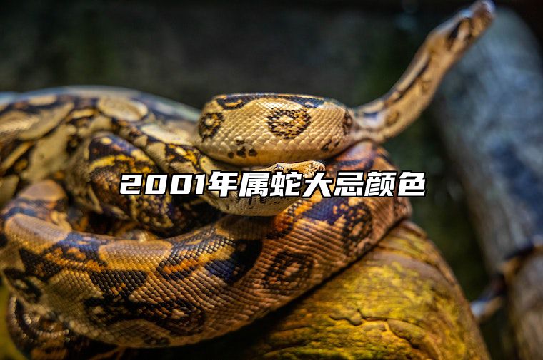 2001年属蛇大忌颜色 2025本命年蛇需要穿什么