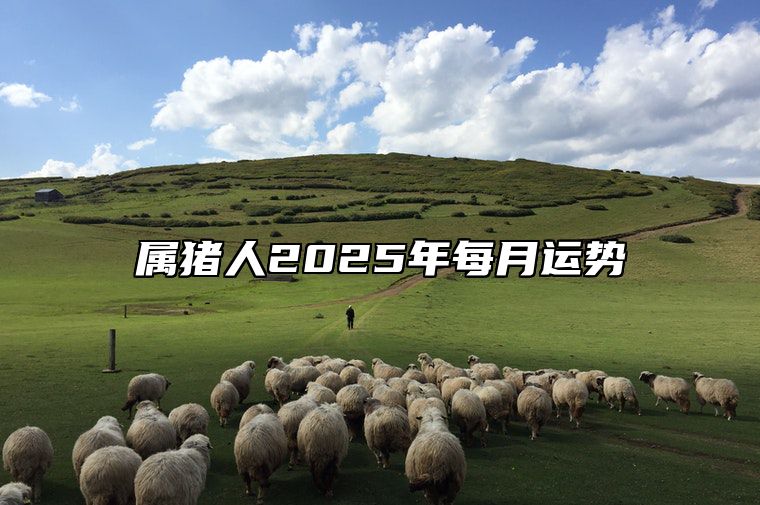 属猪人2025年每月运势 属猪人2025年每月运势卜易居