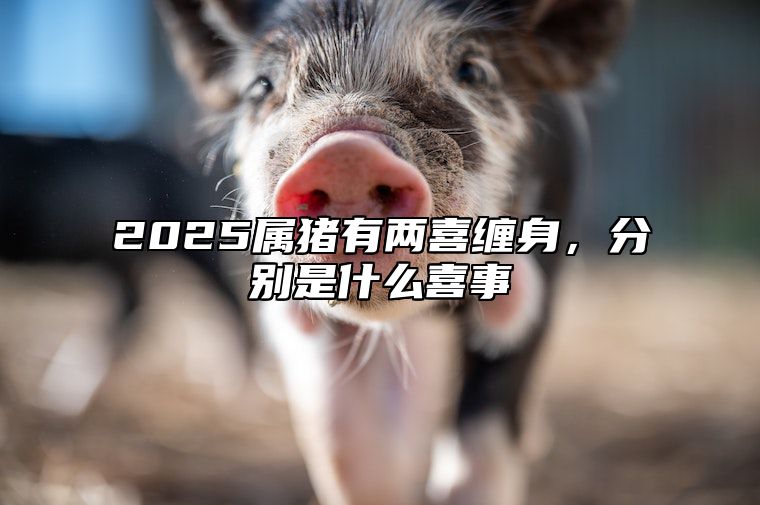 2025属猪有两喜缠身，分别是什么喜事 2025年生肖猪运势