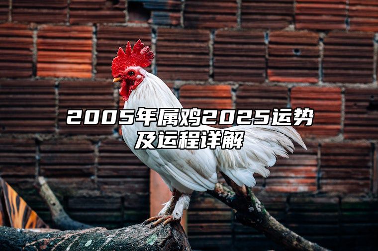 2005年属鸡2025运势及运程详解 属鸡人1981年2025年全年运势详解