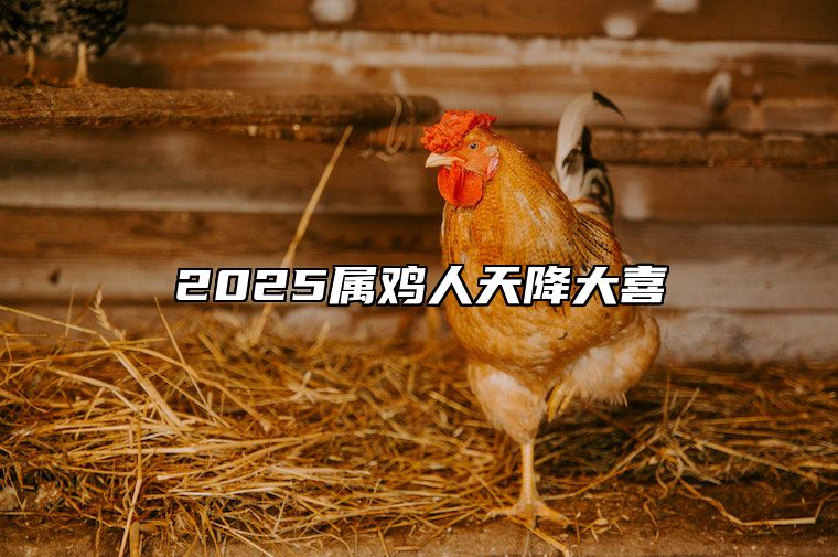 2025属鸡人天降大喜 2025年属鸡翻身之年