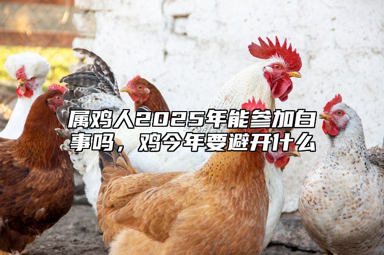 属鸡人2025年能参加白事吗，鸡今年要避开什么 属鸡在2025年的运势好不好呢