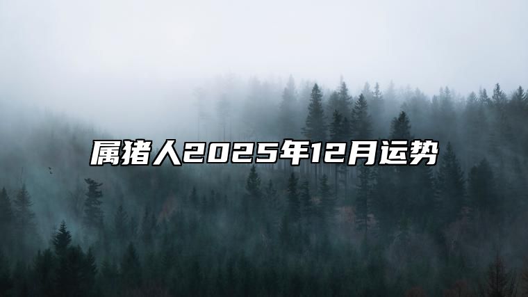 属猪人2025年12月运势 属猪人2025年全年运势