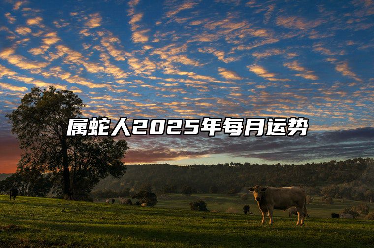 属蛇人2025年每月运势 2001年属蛇人2025年运势及运程