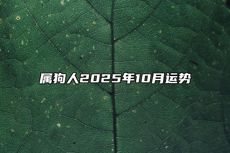 属狗人2025年10月运势 属狗2025年属狗每月运势和运