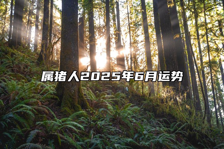 属猪人2025年6月运势 2025年猪的运势