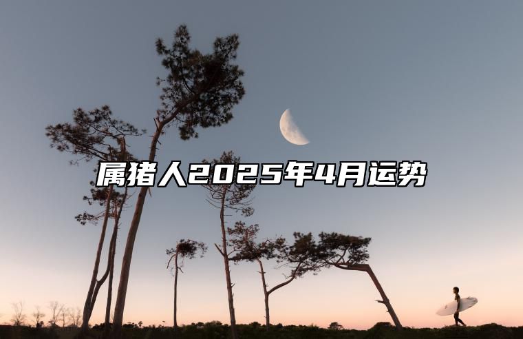 属猪人2025年4月运势 2025年猪的运势