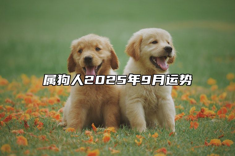 属狗人2025年9月运势 属狗的2025年