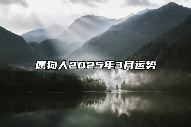 属狗人2025年3月运势 属狗2025年属狗每月运势和运