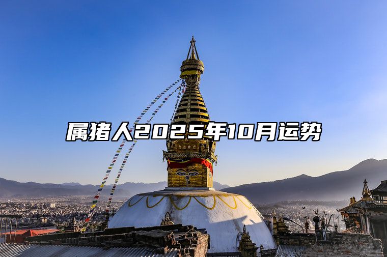 属猪人2025年10月运势 属猪人2025年全年运势