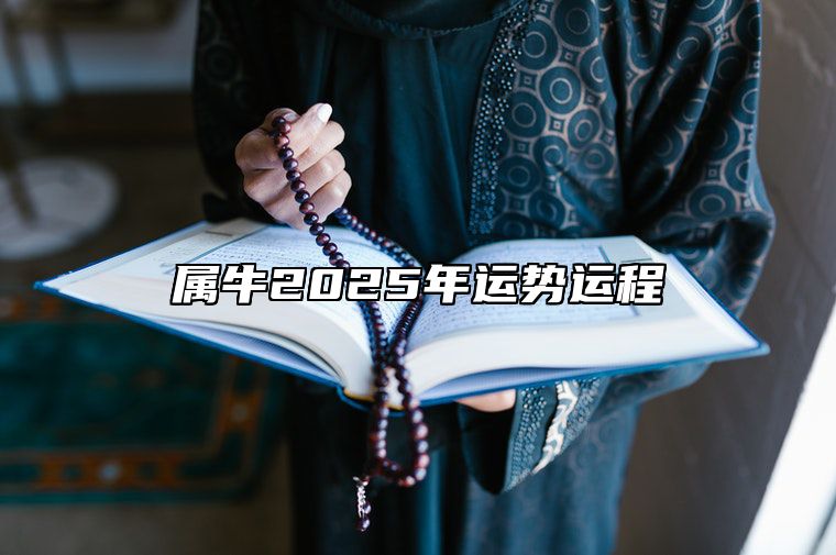 属牛2025年运势运程 属牛2025年运势运程 属兔人2025全年运势详解