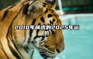 2010年属虎的2025年运势 2010属虎人2021年全年运势