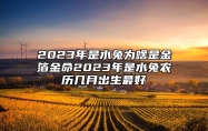 2023年是水兔为啥是金箔金命？2023年是水兔农历几月出生最好