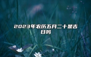 2023年农历五月二十是吉日吗,今天黄历日子好吗,吉时宜忌分析