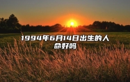 1994年6月14日出生的人命好吗 今日不同时辰生辰八字解析