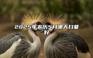 2025年农历5月哪天扫墓好 是扫墓的吉日吗？