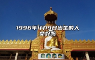 1996年1月19日出生的人命好吗 今日不同时辰生辰八字解析