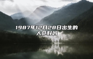 1987年12月28日出生的人命好吗 命运如何五行缺什么