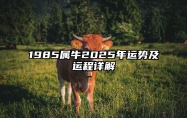 1985属牛2025年运势及运程详解 1985年属牛未来十年运势