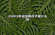 2003年出生的孩子是什么命 2003年属羊的是什么命