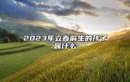 2023年立春前生的孩子属什么 2023年一月出生的虎宝宝命运