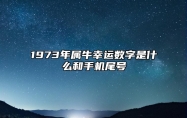 1973年属牛幸运数字是什么和手机尾号 五行磁场解读电话号